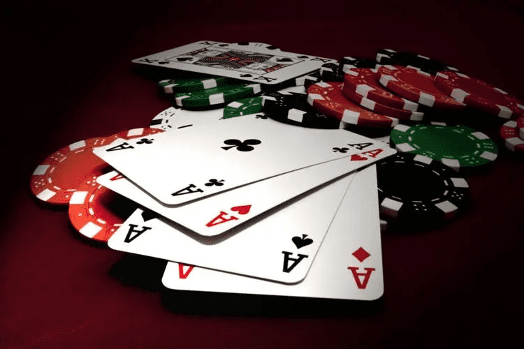 vividragonpg - Cassino Bet Oficial
