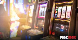 vividragonpg - Slot Bet Login